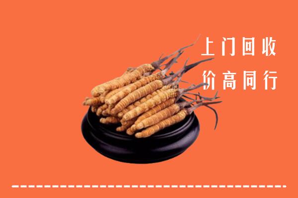 儋州临高县回收冬虫夏草