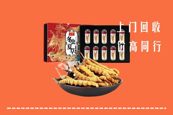 儋州临高县回收虫草